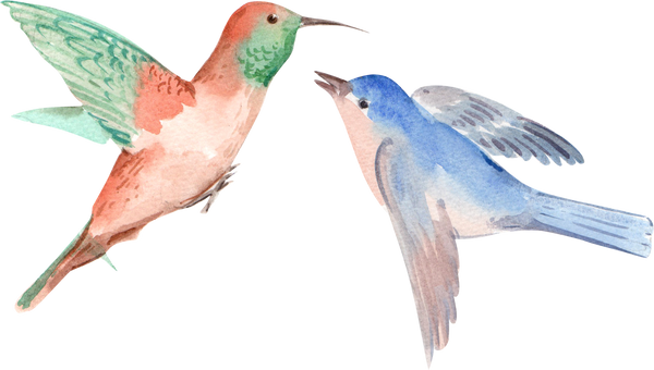 Spring Birds Composition Watercolor